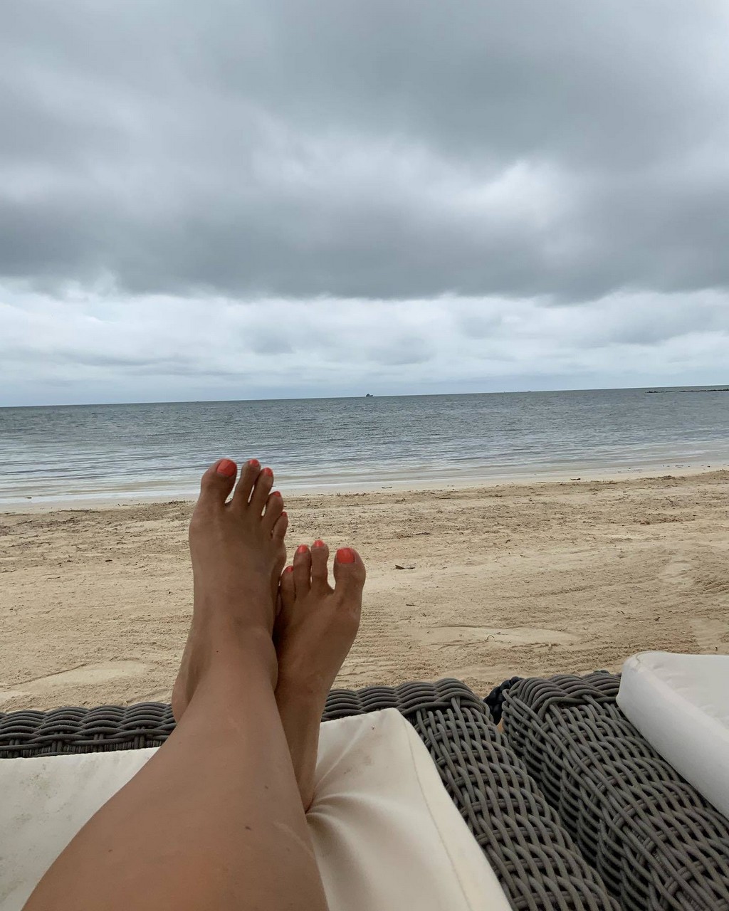 Ana Navarro Feet