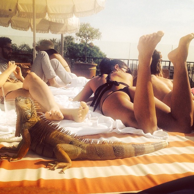 Aura Dione Feet