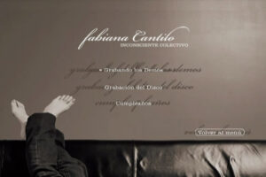 Fabiana Cantilo Feet