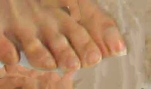 Isha Koppikar Feet