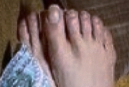 Isha Koppikar Feet