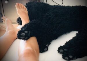 Zrinka Cvitesic Feet